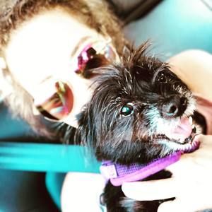 Meet your Posher, Arielle